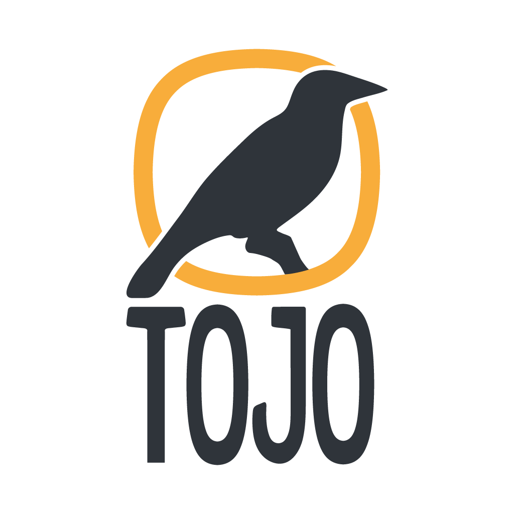 DT Logo